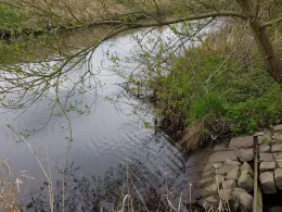 Süderau (Meldorf)-3