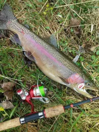 Wipper (Sondershausen)