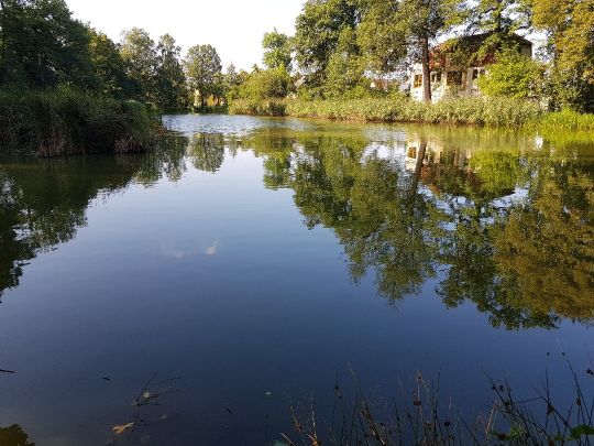 Schloßteich Pulsnitz-2