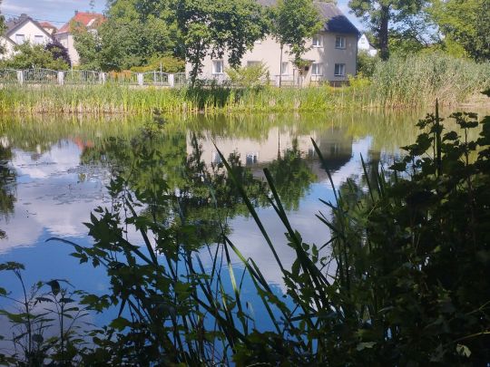 Schloßteich Pulsnitz ALLE ANGELN