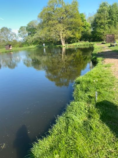 Altenwalder Angelpark-1