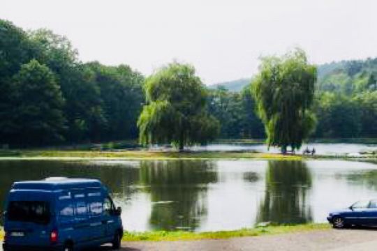 Fischzucht Rhönforelle (Gersfeld)-4