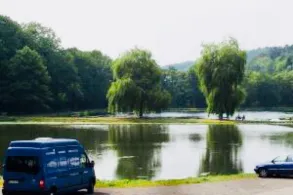 Fischzucht Rhönforelle (Gersfeld)-4