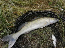 Dortmund-Ems-Kanal (Münster-Gelmer)