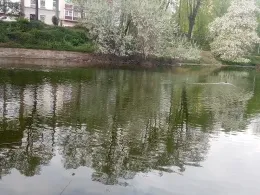 Schwanenspiegel (Düsseldorf)