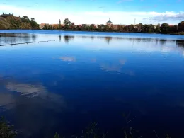 Kleiner Frankenteich (Stralsund)