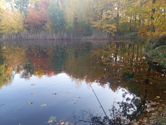 Badegrube Liebegast-3