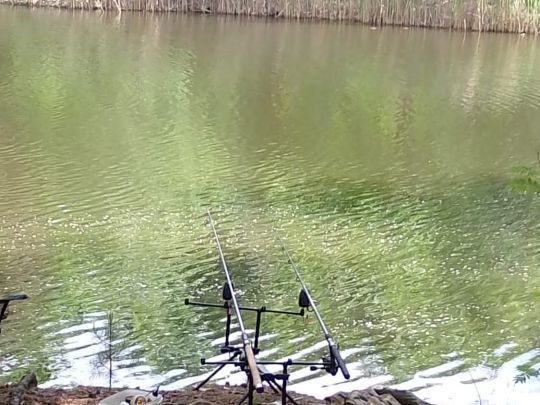 Badegrube Liebegast-4