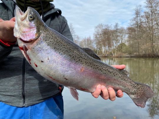 Angelparadies Burgdorf-4