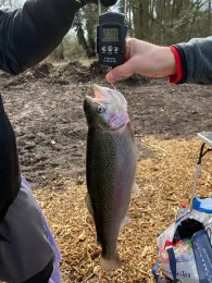 Angelparadies Burgdorf