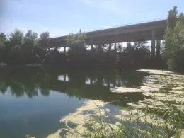 Tageskartengewässer ASV Rath-Heumar-2