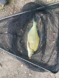 Ziegeleiteiche Annahof-1