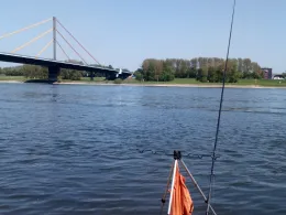 Rhein (Duisburg)-4