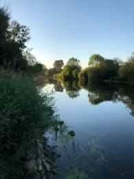 Main (Kemmern-Unterleiterbach)-2