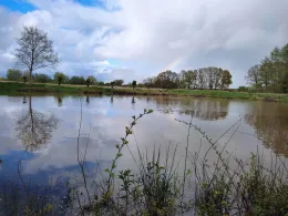 Barrier Mühlenteich-1