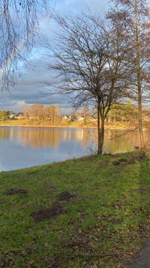 Dedinger-Heide-See-1