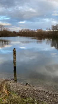 Dedinger-Heide-See-2