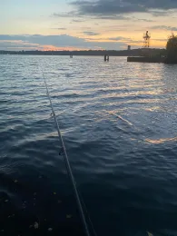 Havel (Pichelswerder)-4