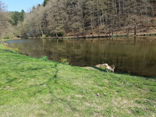 Eisweiher (Pirmasens)
