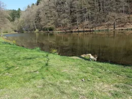 Eisweiher (Pirmasens)