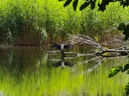 Fehrbelliner Wasserstraße-2