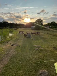 Angelteich Thomas Merker 