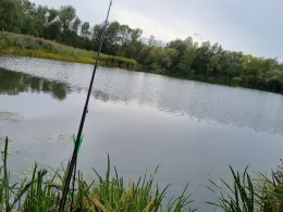 Teich am Klärwerk Waßmannsdorf-1