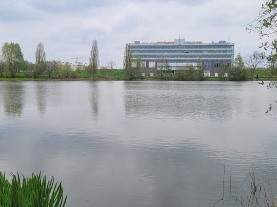 Teich am Klärwerk Waßmannsdorf-2