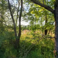 Teich am Klärwerk Waßmannsdorf-3