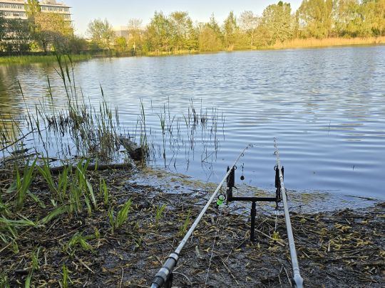 Teich am Klärwerk Waßmannsdorf-4