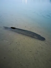 Baufeld Wörbzig 1-3