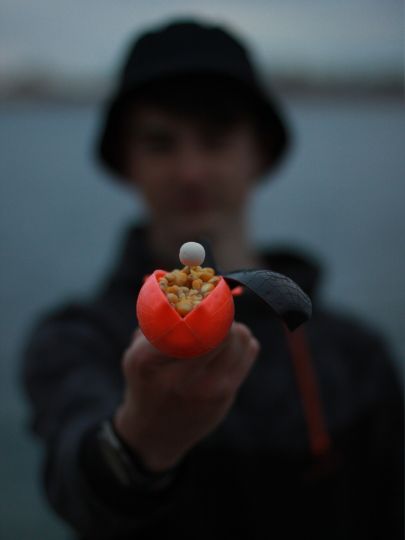 Baufeld Wörbzig 1-3-4