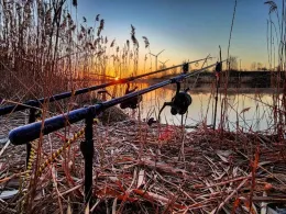 Baufeld Wörbzig 1-3-2