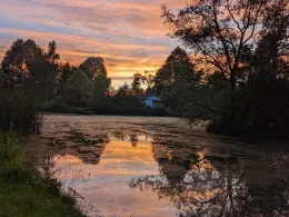 Eisteiche (Greußen)