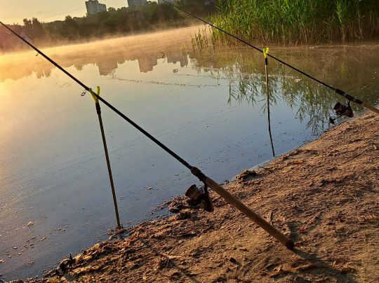 Reitbahnsee (Neubrandenburg)-4