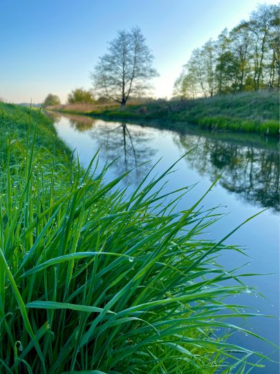 Angeln in Dolgen am See