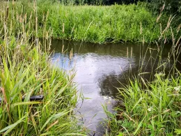 Örtze (Hermannsburg)-2