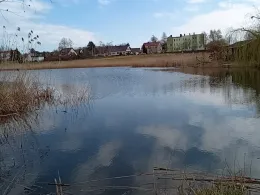 Pfarrteich Seeben (Halle)-1