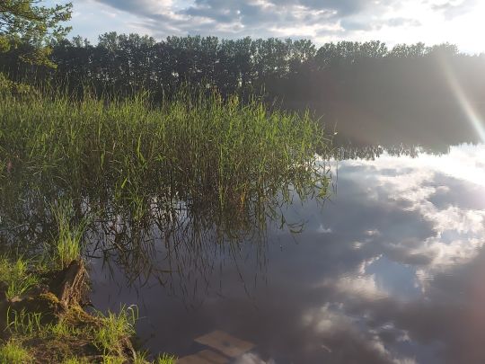 Militzsee (Crivitz)