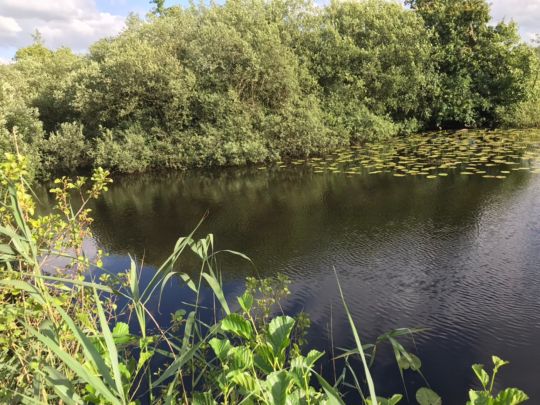 Buschkuhle (Rotenburg/Wümme)-1