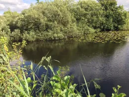 Buschkuhle (Rotenburg/Wümme)-1