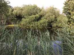 Buschkuhle (Rotenburg/Wümme)