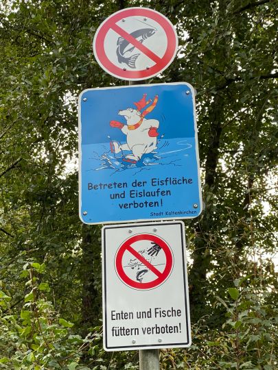 Teich am Radensweg (Kaltenkirchen)-1