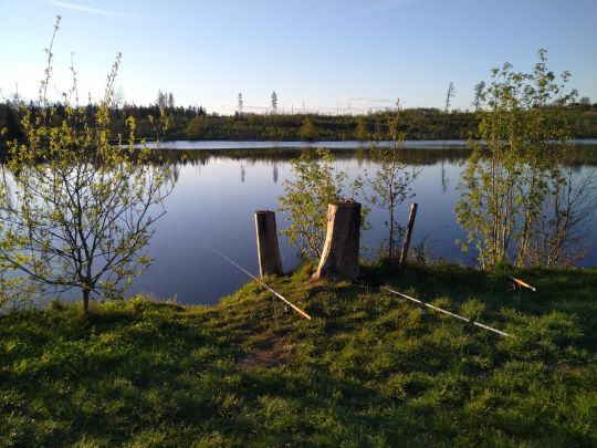 Pixhaier Teich ALLE ANGELN