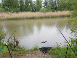 Angelsee Ranftl (Mühlheim am Inn)-1