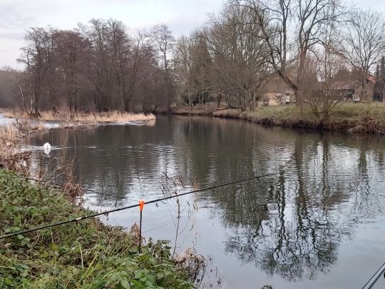 Saar (Siltzheim) ALLE ANGELN