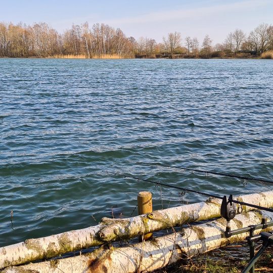 Steinwedeler Teich ALLE ANGELN
