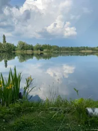 Steinwedeler Teich-4