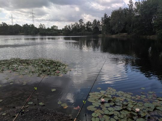 Steinwedeler Teich ALLE ANGELN