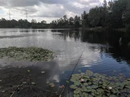 Steinwedeler Teich-1